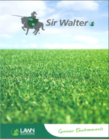 Sir Walter turf