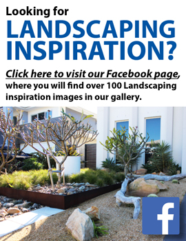 Landscaping inspiration