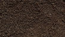 soil