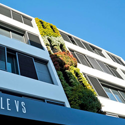 Vertical Wall or Green Wall or Living Wall Vertical Exterior