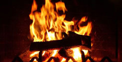 Click here to see our range of firewood and accessories
