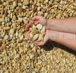 Pebble Cowra Gold 20mm 20Kg Bag